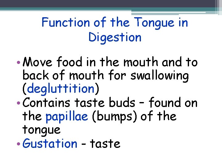 Function of the Tongue in Digestion • Move food in the mouth and to