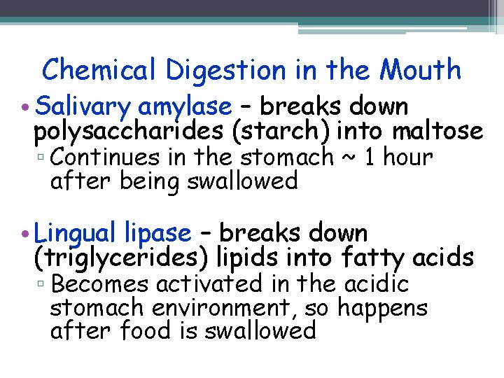 Chemical Digestion in the Mouth • Salivary amylase – breaks down polysaccharides (starch) into