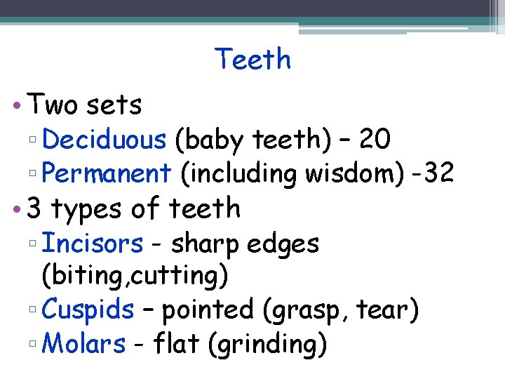 Teeth • Two sets ▫ Deciduous (baby teeth) – 20 ▫ Permanent (including wisdom)