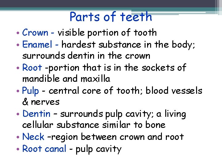 Parts of teeth • Crown - visible portion of tooth • Enamel - hardest