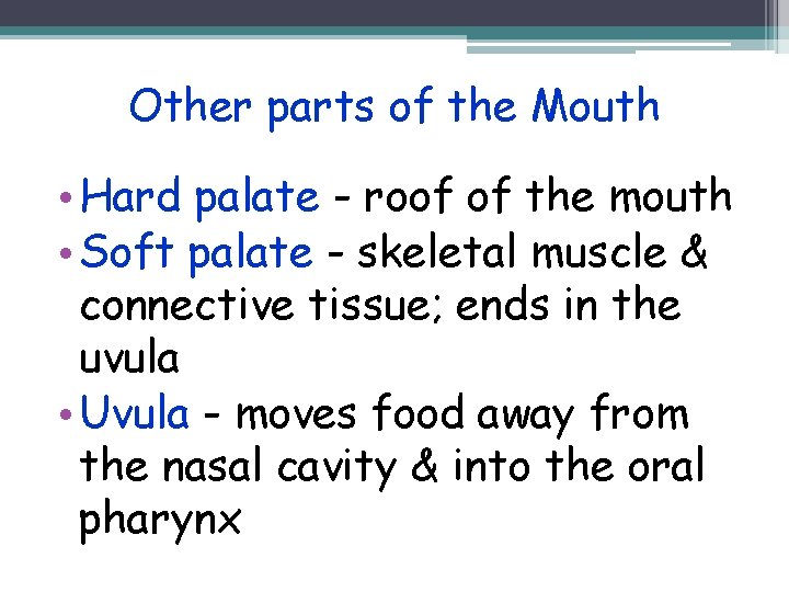 Other parts of the Mouth • Hard palate - roof of the mouth •