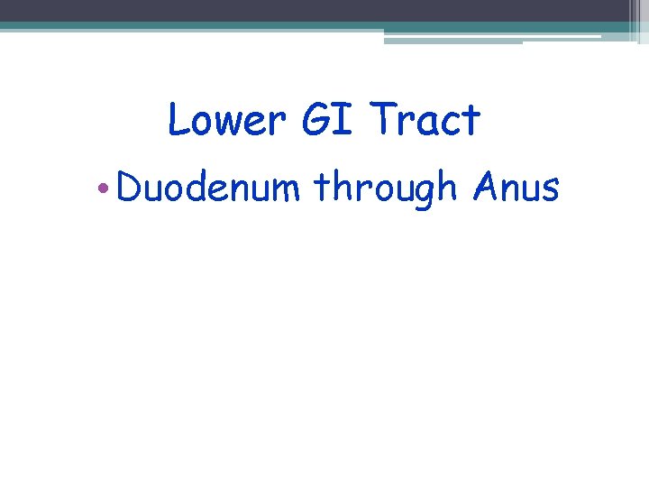 Lower GI Tract • Duodenum through Anus 