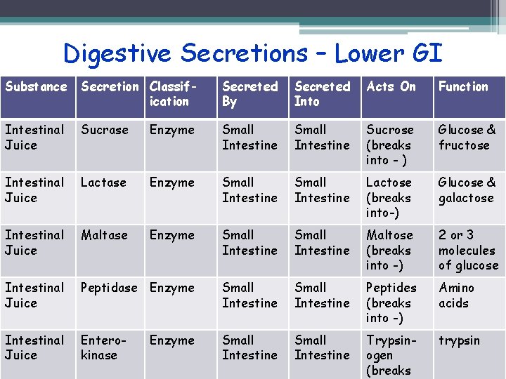 Digestive Secretions – Lower GI Substance Secretion Classification Secreted By Secreted Into Acts On