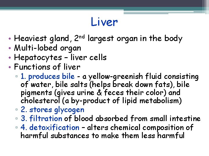 Liver • • Heaviest gland, 2 nd largest organ in the body Multi-lobed organ