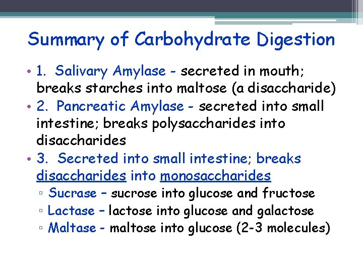 Summary of Carbohydrate Digestion • 1. Salivary Amylase - secreted in mouth; breaks starches