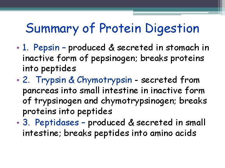 Summary of Protein Digestion • 1. Pepsin – produced & secreted in stomach in