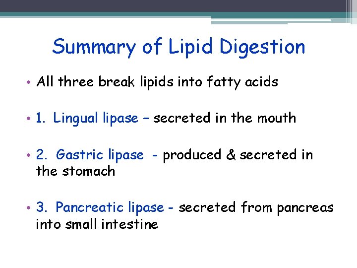 Summary of Lipid Digestion • All three break lipids into fatty acids • 1.