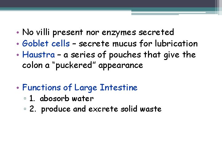  • No villi present nor enzymes secreted • Goblet cells – secrete mucus