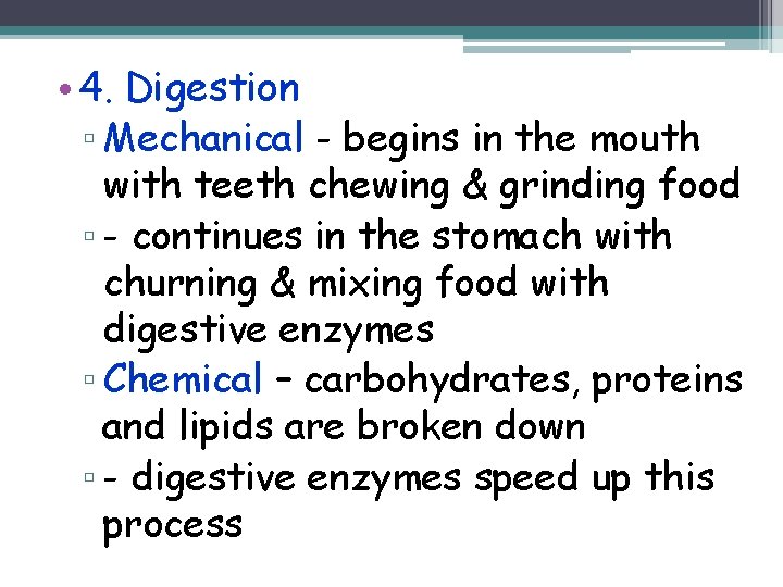  • 4. Digestion ▫ Mechanical - begins in the mouth with teeth chewing
