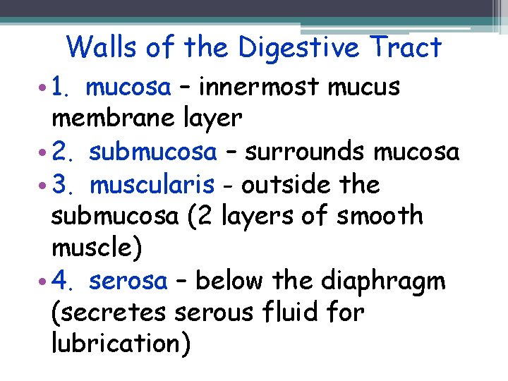 Walls of the Digestive Tract • 1. mucosa – innermost mucus membrane layer •