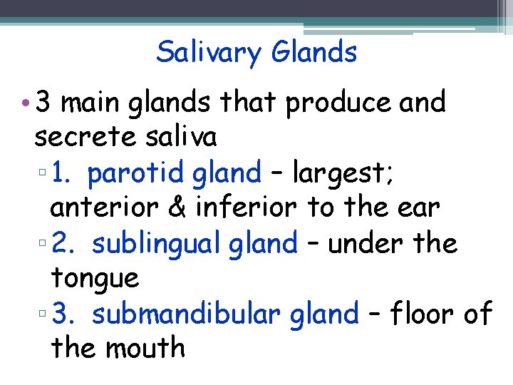 Salivary Glands • 3 main glands that produce and secrete saliva ▫ 1. parotid