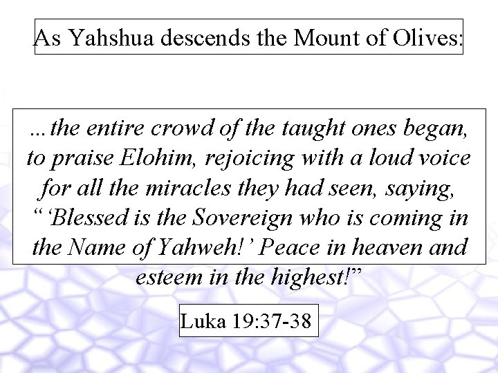As Yahshua descends the Mount of Olives: …the entire crowd of the taught ones