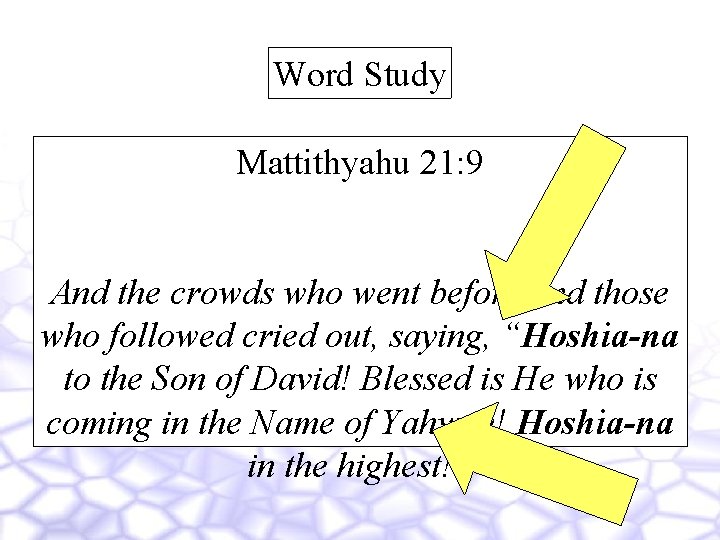 Word Study Mattithyahu 21: 9 And the crowds who went before and those who