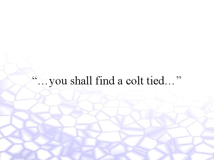 “…you shall find a colt tied…” 