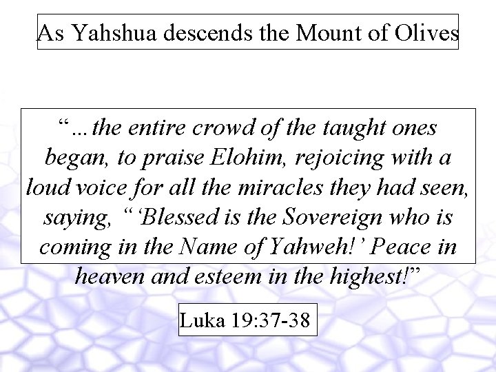 As Yahshua descends the Mount of Olives “…the entire crowd of the taught ones