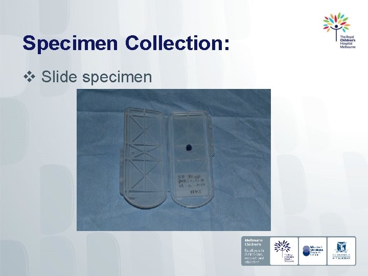 Specimen Collection: v Slide specimen 