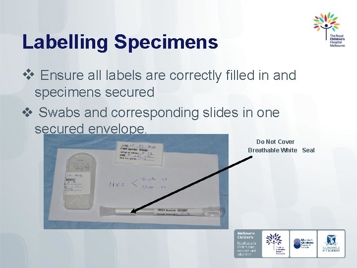 Labelling Specimens v Ensure all labels are correctly filled in and specimens secured v