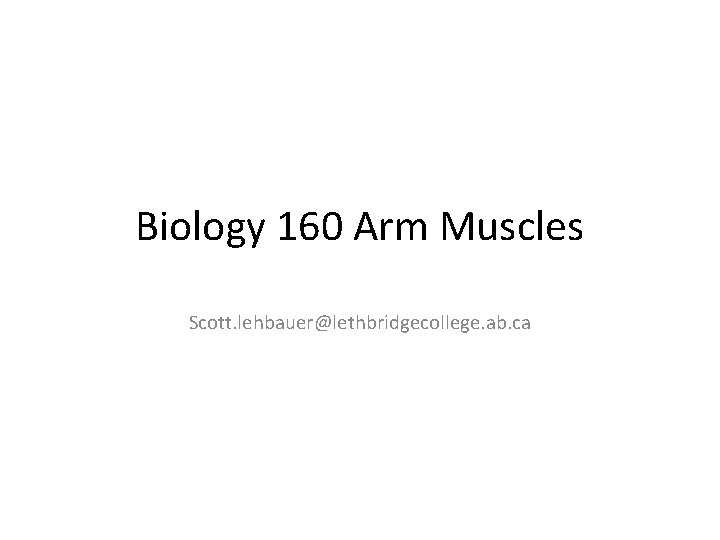 Biology 160 Arm Muscles Scott. lehbauer@lethbridgecollege. ab. ca 