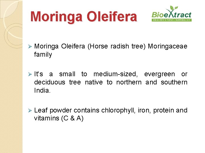 Moringa Oleifera Ø Moringa Oleifera (Horse radish tree) Moringaceae family Ø It’s a small