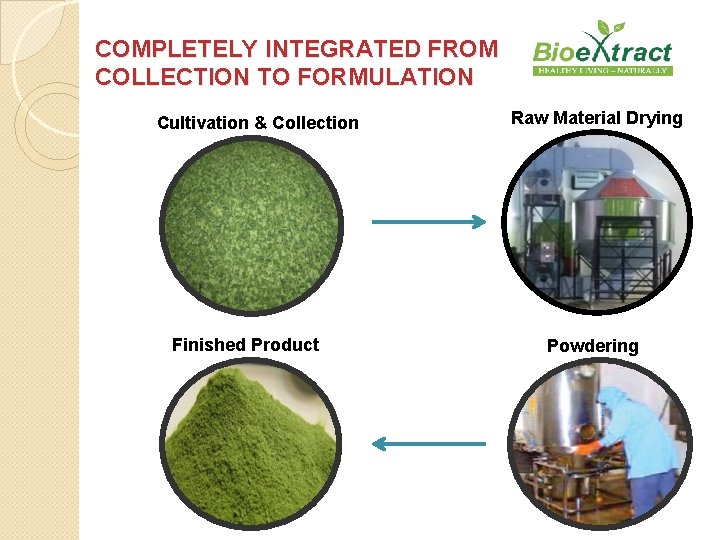 COMPLETELY INTEGRATED FROM COLLECTION TO FORMULATION Cultivation & Collection Finished Product Raw Material Drying