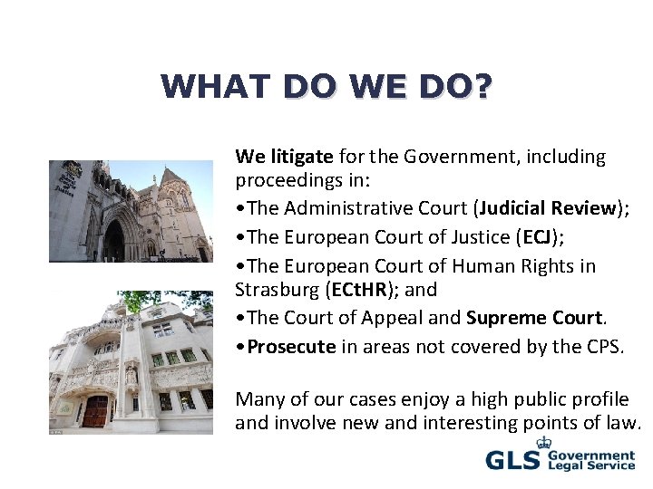 WHAT DO WE DO? We litigate for the Government, including proceedings in: • The