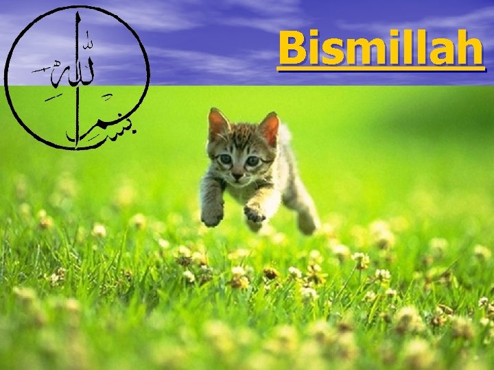 Bismillah 
