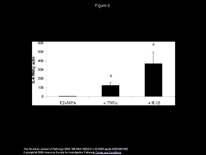 Figure 6 The American Journal of Pathology 2006 1691294 -1302 DOI: (10. 2353/ajpath. 2006.