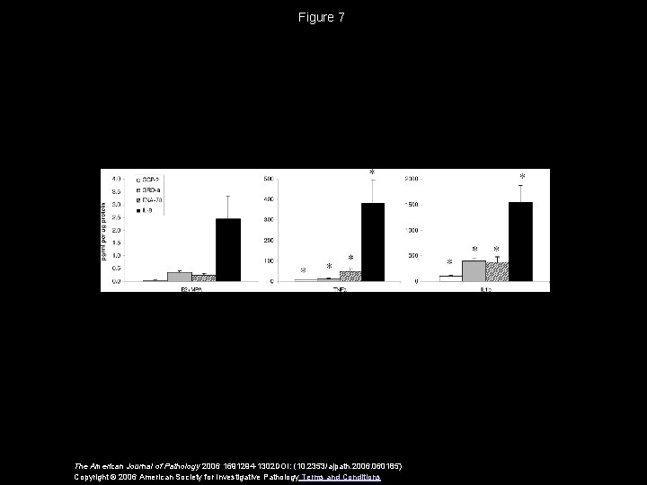 Figure 7 The American Journal of Pathology 2006 1691294 -1302 DOI: (10. 2353/ajpath. 2006.