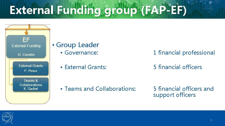 External Funding group (FAP-EF) • Group Leader • Governance: 1 financial professional • External