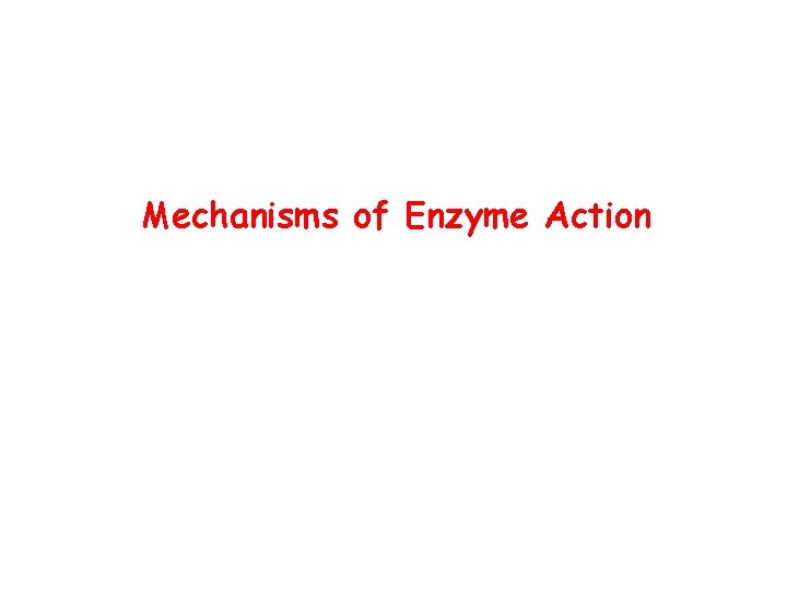 Mechanisms of Enzyme Action 