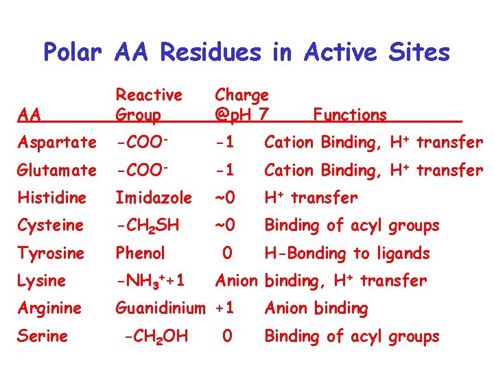 Polar AA Residues in Active Sites AA Reactive Group Charge @p. H 7 Aspartate