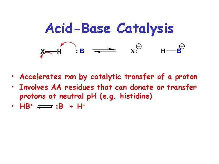 Acid-Base Catalysis • Accelerates rxn by catalytic transfer of a proton • Involves AA