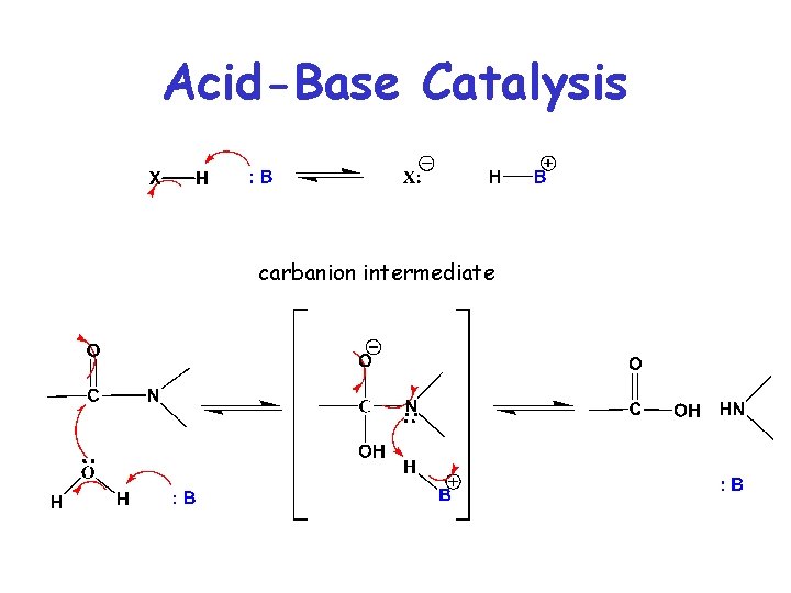 Acid-Base Catalysis carbanion intermediate : : 