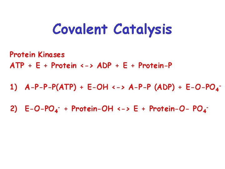 Covalent Catalysis Protein Kinases ATP + E + Protein <-> ADP + E +