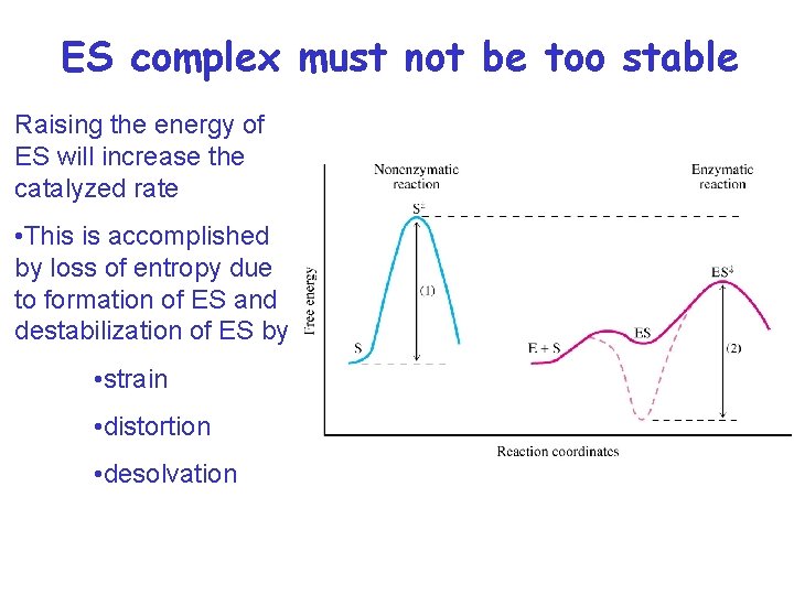 ES complex must not be too stable Raising the energy of ES will increase