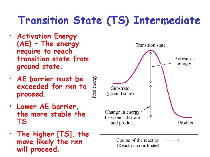 Transition State (TS) Intermediate • Activation Energy (AE) – The energy require to reach