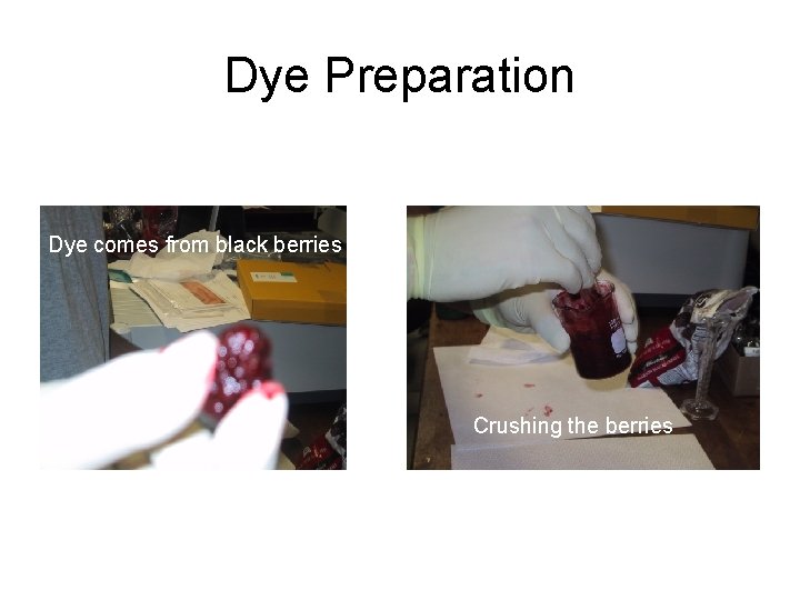 Dye Preparation Dye comes from black berries Crushing the berries 