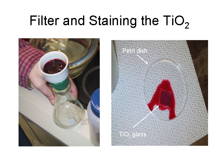 Filter and Staining the Ti. O 2 Petri dish Ti. O 2 glass 