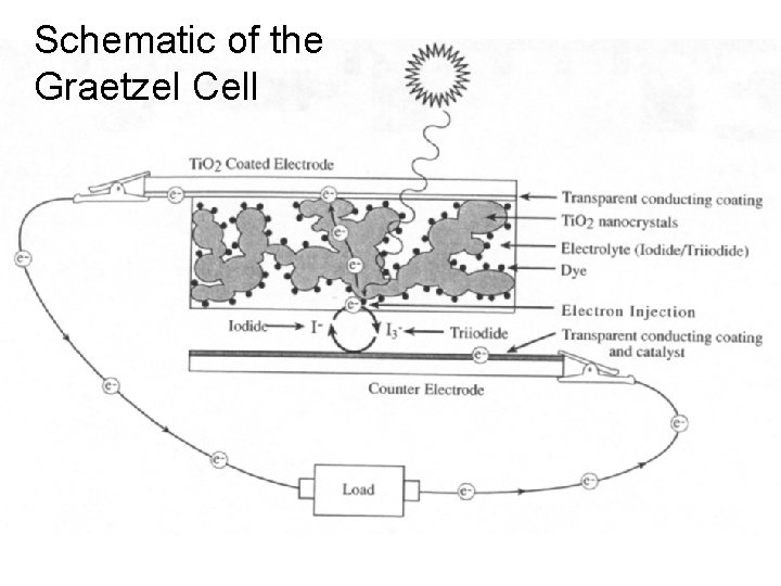 Schematic of the Graetzel Cell 