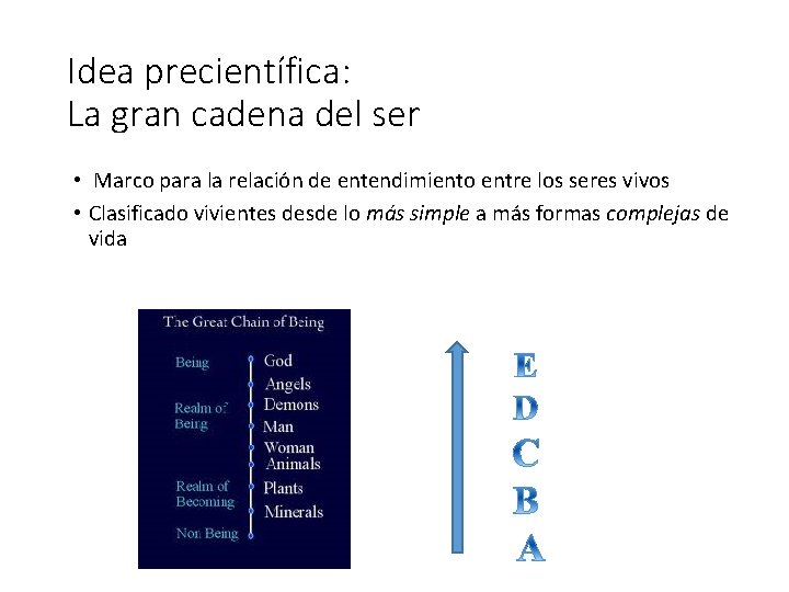 Idea precientífica: La gran cadena del ser • Marco para la relación de entendimiento