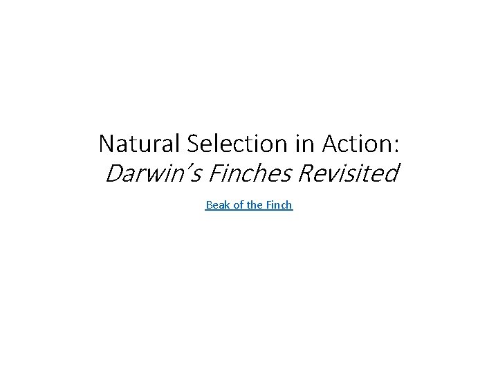 Natural Selection in Action: Darwin’s Finches Revisited Beak of the Finch 