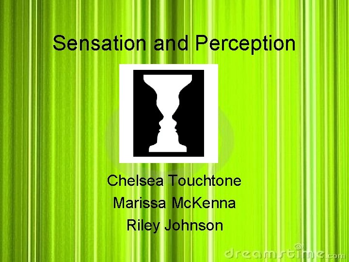 Sensation and Perception Chelsea Touchtone Marissa Mc. Kenna Riley Johnson 