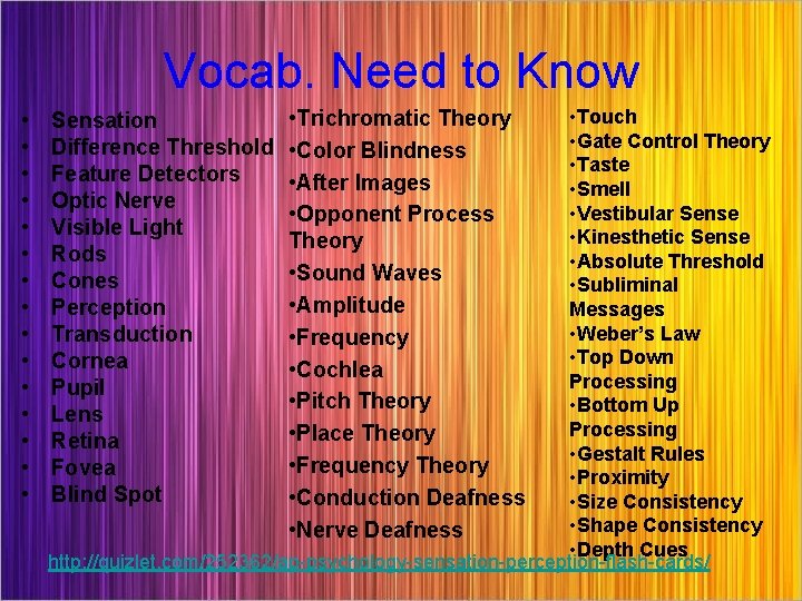 Vocab. Need to Know • • • • Touch • Gate Control Theory •