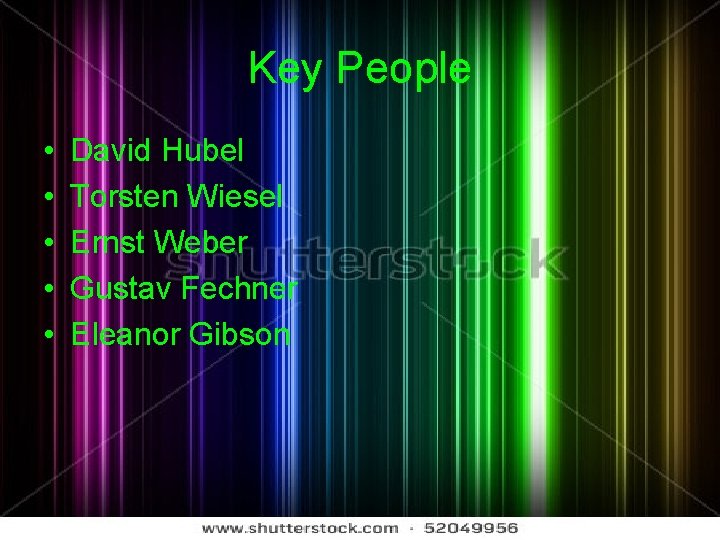 Key People • • • David Hubel Torsten Wiesel Ernst Weber Gustav Fechner Eleanor