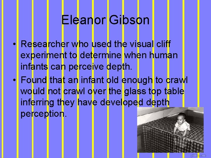 Eleanor Gibson • Researcher who used the visual cliff experiment to determine when human