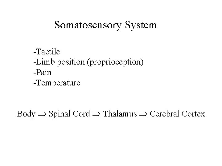 Somatosensory System -Tactile -Limb position (proprioception) -Pain -Temperature Body Spinal Cord Thalamus Cerebral Cortex