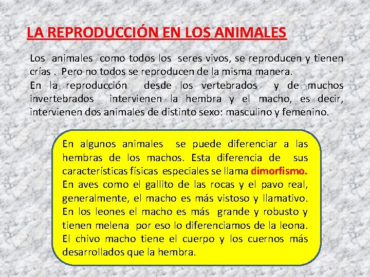 LA REPRODUCCIÓN EN LOS ANIMALES Los animales como todos los seres vivos, se reproducen