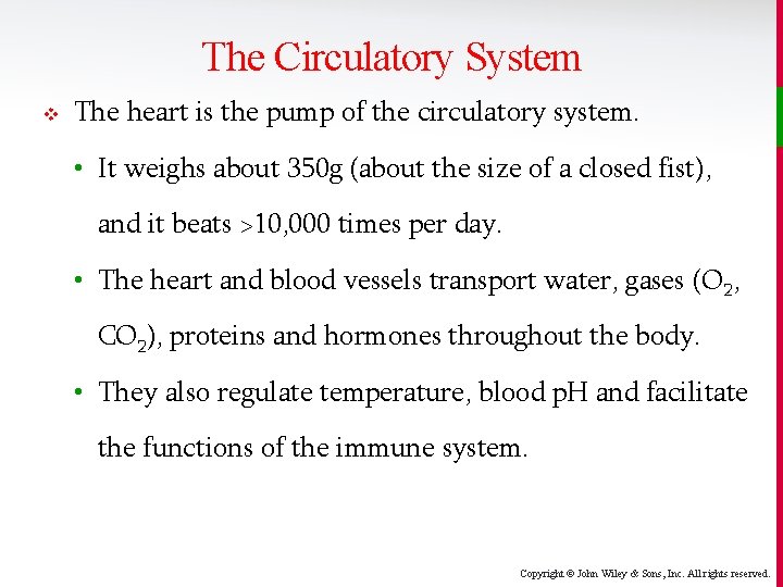 The Circulatory System v The heart is the pump of the circulatory system. •