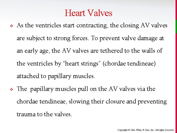 Heart Valves v As the ventricles start contracting, the closing AV valves are subject