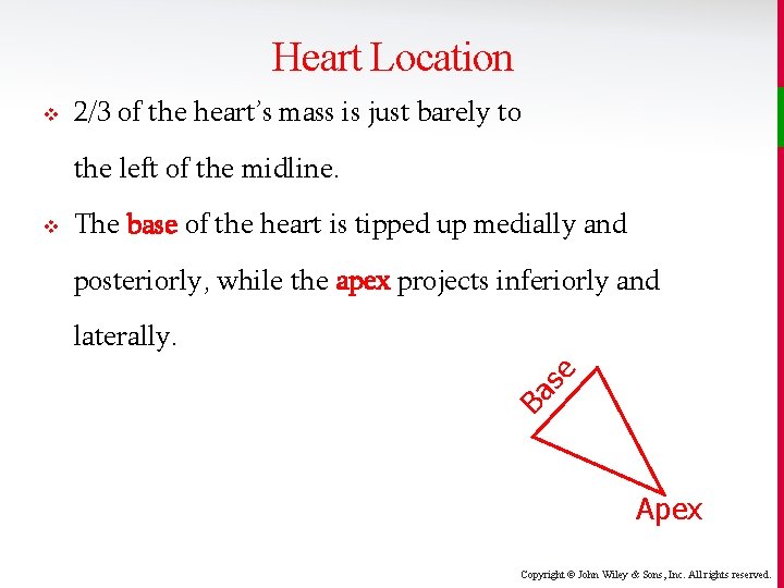 Heart Location v 2/3 of the heart’s mass is just barely to the left